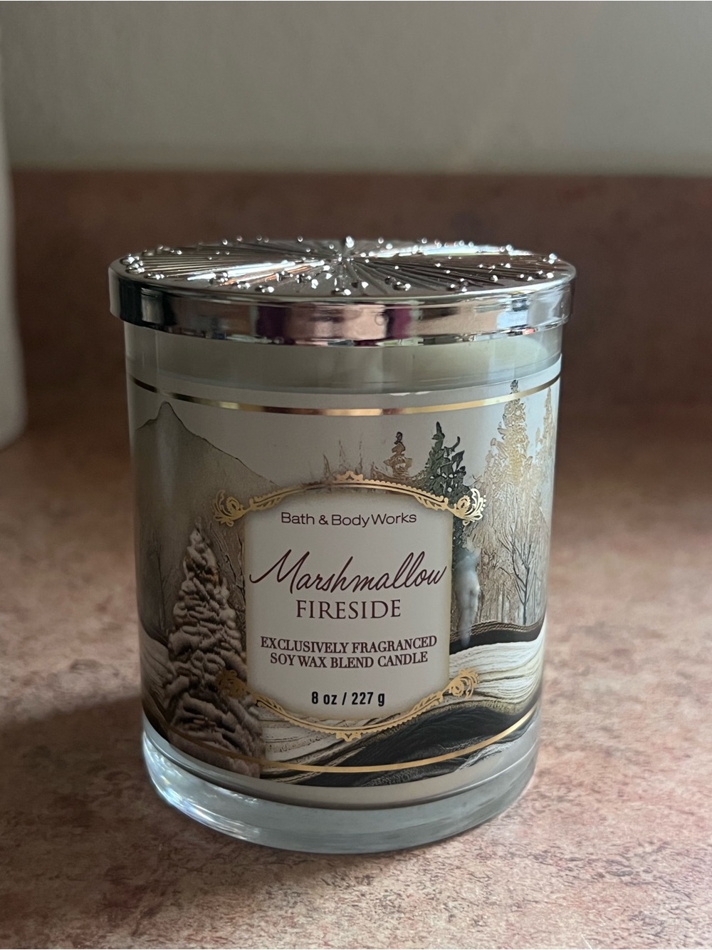 Bath & Body Works Marshmallow Fireside Single Wick Candle 8oz NEW